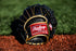 Rawlings | R9 Baseball Glove Series | Multiple Styles