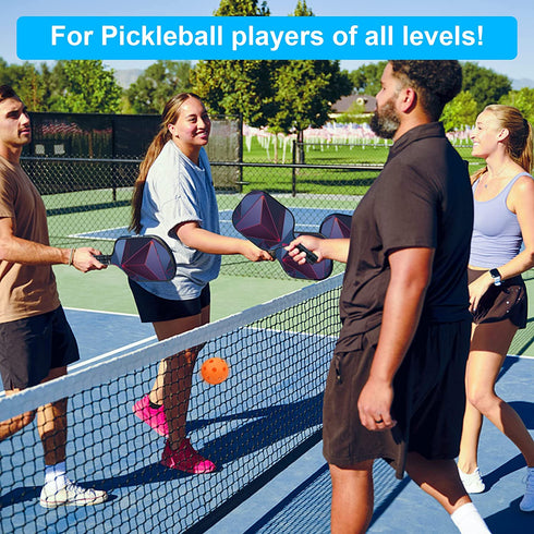 OVISBAI Pickleball Paddles Set of 2 Fiberglass Surface Paddleswith 4 Pickleball Balls, 2 Racquets, 2 Pickleball Ball Retriever, 1 Carry Bag