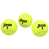 Penn Championship Extra Duty Tennis Balls (12 cans, 36 balls)