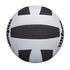 Wilson Pro Tour Indoor Volleyball, Black/White