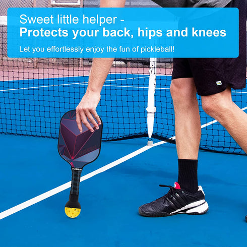 OVISBAI Pickleball Paddles Set of 2 Fiberglass Surface Paddleswith 4 Pickleball Balls, 2 Racquets, 2 Pickleball Ball Retriever, 1 Carry Bag