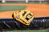 Wilson A2K Baseball Glove Series
