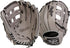 Rawlings | Foundation Series Baseball Glove | Aaron Judge Collaboration | Multiple Styles