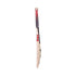 Kookaburra Beast 5.1 Cricket Bat 2022