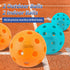 PHYSIZZ Pickleball Paddles Set of 2, Lightweight Graphite Surface Honeycomb Core Pickleball Rackets with 4 Pickleball Balls